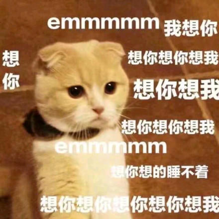 我想你GIF动态图_我想你表情_我想你GIF动美表情包长得丑想得图片