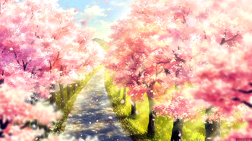 唯美意境 风景 树木 樱花
