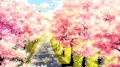 唯美意境 风景 树木 樱花