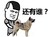 还有谁 斗图 搞笑 小狗狗 雷人