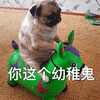 萌宠 狗 汪星人 你这个幼稚鬼 搞怪