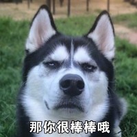 哈士奇 搞笑 二哈 魔性 文字表情包