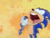 音速小子索尼克 sonic the hedgehog 循环 吃 大口