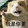 我是你爹 小仓鼠 可爱 欢乐