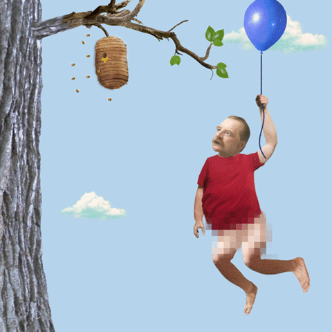 气球 大树 蜂窝 飞不上去