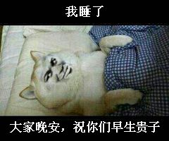 小猫被子睡觉可爱gif动图_动态图_表情包下载_soogif