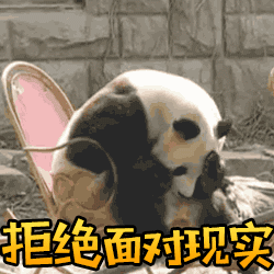 拒绝面对现实 熊猫 捂脸 搞笑