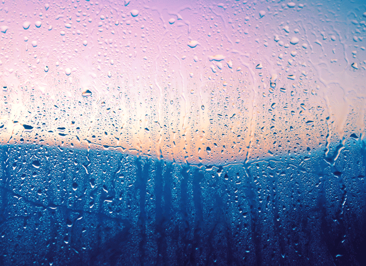 美图 诗意的世界 雨天 玻璃雨雾 唯美 小清新 柔光滤镜 花花世界