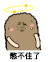 金馆长 猫屎 晃悠 憋不住了