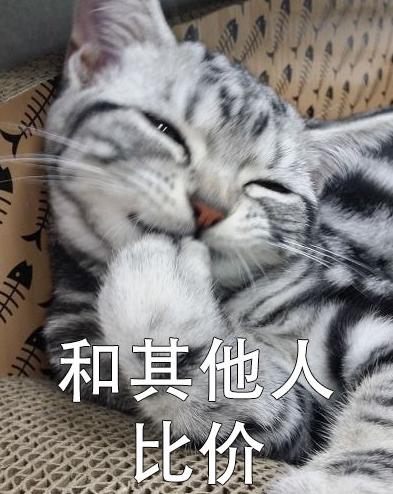萌宠 可爱 喵星人 买买买 双11