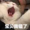 萌宠 猫星人 宝贝我错了 道歉 呆萌 可爱