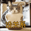 没关系