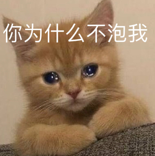 萌宠gif猫星人gif你为什么不泡我gif难受gif呆萌gif可爱gif