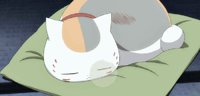 猫猫 熟睡 动漫 动画