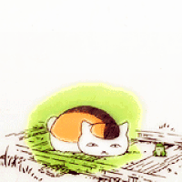 猫咪 可爱 萌萌哒 动态