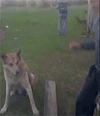握手