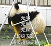 萌宠 熊猫 无聊 超级无聊 可爱 呆萌
