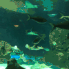 海底 游泳 漂亮