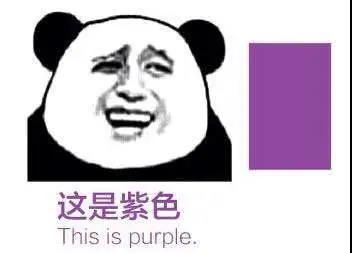 暴漫 熊猫头 这是紫色 给你点颜色看看 搞怪 逗