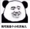 暴漫 熊猫头 我可真是个小机灵鬼 开心 搞怪 逗