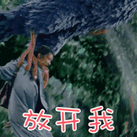 青囊传 赵露思 叶云裳 放开我 搞怪