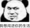 暴漫 文字表情包 我想闯进你的生活 搞笑 逗 沙雕