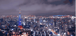 城市 夜晚 日本 晴空塔 灯光 移轴摄影 迷你东京