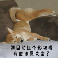 萌宠 猫星人 照目前这个形势来看 我应该是失宠了 呆萌 可爱