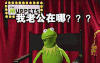 变色龙 布偶 抓狂 我老公在哪 老公
