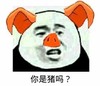 暴漫 搞笑 你是猪吗 雷人