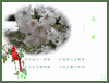 梨花 春晴 诗句 古典艺术