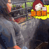 萌宠 羊 跟着我走 搞笑