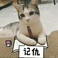 猫 记仇