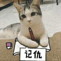 猫 记仇 可爱 呆萌