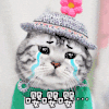 猫咪 流泪 悲伤 可爱
