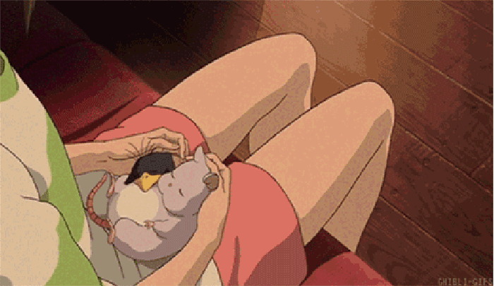 宫崎骏的大王国 猫咪 美腿 二次元