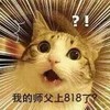 喵星人 瞪眼 惊讶 我的师父上818了