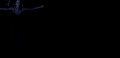 美女 游泳 黑夜
