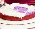 蛋糕 cake food 涂抹 奶油 半成品 加工