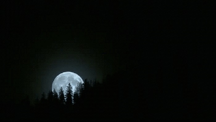 夜晚 月亮 上升 移动