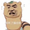金馆长 浣熊 咧嘴 烦死了操你妈
