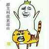 群主叫我来巡山 嗷 骑老虎 逗比