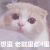 想你 猫 搞怪 可爱