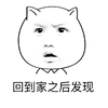 惊讶 斗图 回到家之后发现 愣住