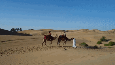 沙漠 一望无际 干旱 风景 骑骆驼
