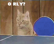 游戏 体育 猫 乒乓球 开关