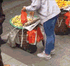 奸商 卖水果 太坏了 无奸不商