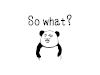 搞笑 表情包 熊猫人 so what 那又怎样