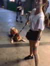 狗狗 美女 不走了 躺下 拉不动