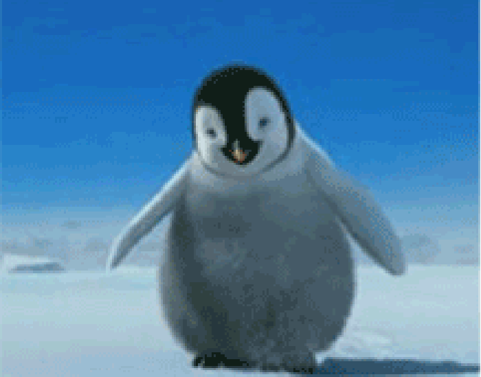 企鹅 搞笑 呆萌 可爱